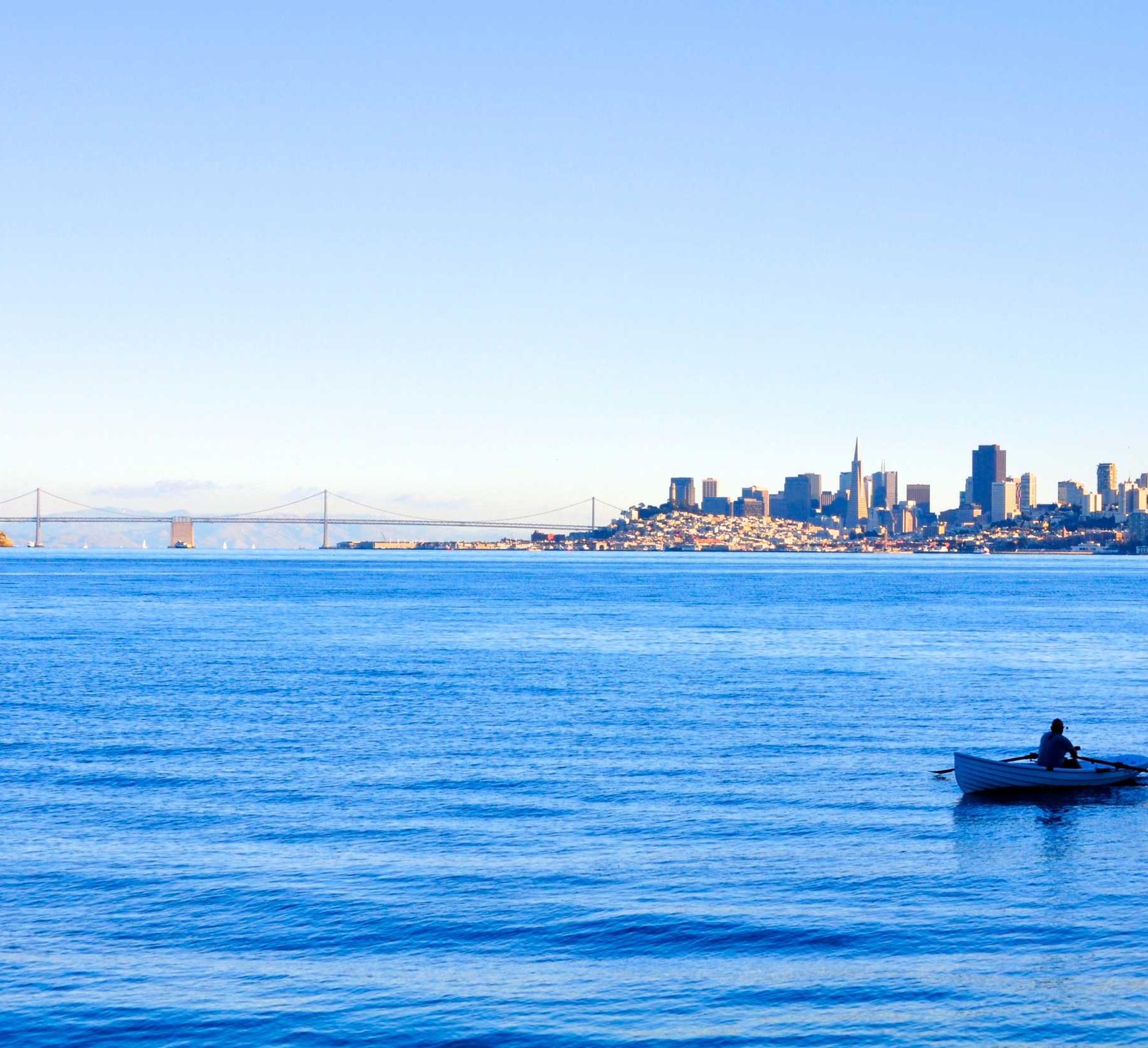 porta mutat verear habitasse